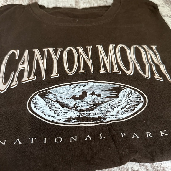 HARRY STYLES Canyon Moon ‘National Park! Brown Tshirt - Picture 2 of 3